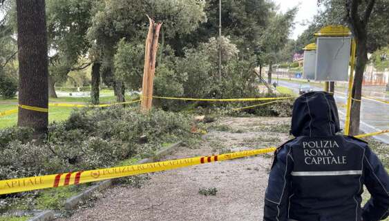 Cade un albero a Roma, morta una donna