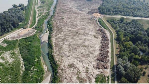 Alberi tagliati al parco fluviale del Secchia, 198mila euro di multa