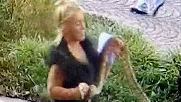 Merano, rapina con serpente: tabaccaia minacciata con boa